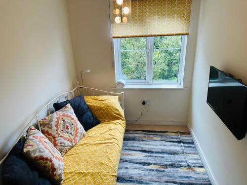 a living room with a couch and a window at Starfish Cottage- private beach access- dog friendly in Charlestown