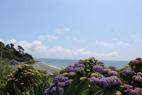 a field of flowers with a beach in the background at Seascape - Mount Brioni in Downderry