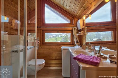 a bathroom with a toilet a sink and a shower at Chalet Les Brimbelles avec Jacuzzi in Gérardmer