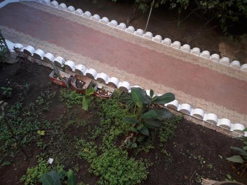 an aerial view of a brick wall with a plant at Hôtel restaurant CMG in Ilakaka