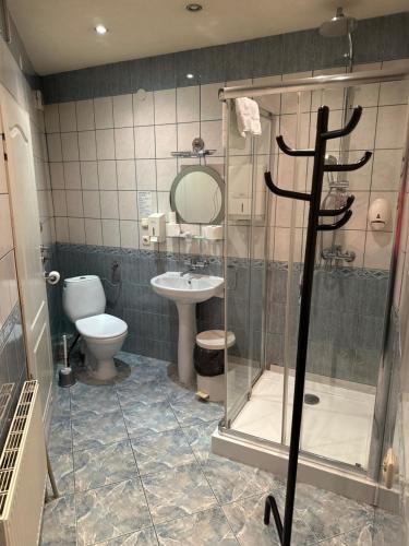 a bathroom with a shower and a toilet and a sink at Diament i Brylant in Rawicz