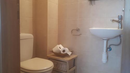 een badkamer met een toilet en een wastafel bij Haatsmaout City center apartment Ashdod in Ashdod