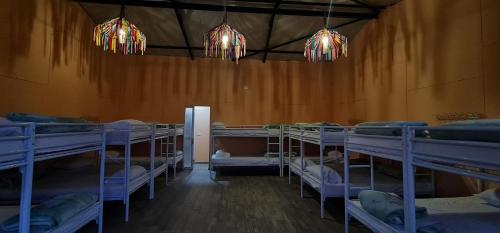Dajti Paradise Hostel emeletes ágyai egy szobában