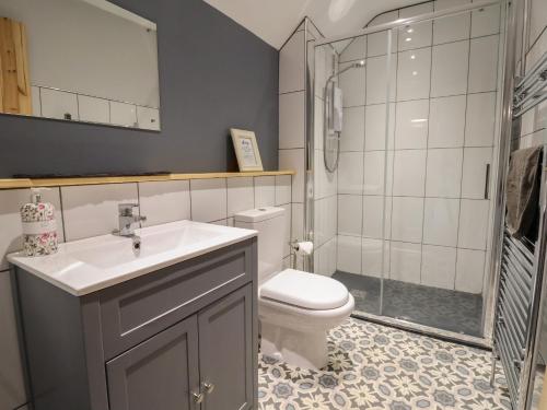 een badkamer met een toilet, een wastafel en een douche bij Segrwyd Uchaf in Denbigh