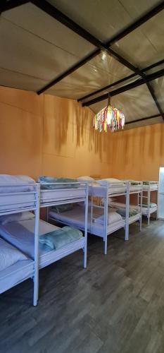 grupa łóżek piętrowych w pokoju z żyrandolem w obiekcie Dajti Paradise Hostel 