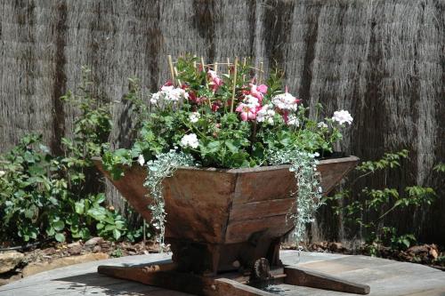 un planteur rempli de fleurs devant une clôture dans l'établissement Belle grange du 18ème restaurée avec charme, à Rouffignac-Saint-Cernin-de-Reilhac
