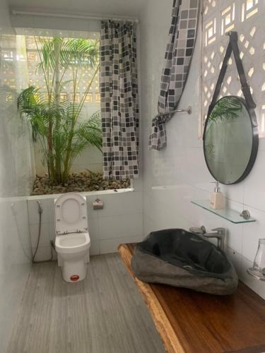 a bathroom with a toilet and a sink and a mirror at Giăng's House Farmstay & Glamping in Bao Loc