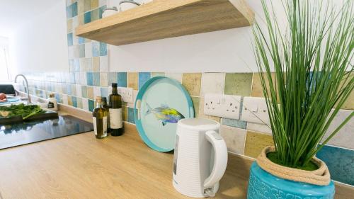 a kitchen counter with a mirror and two potted plants at Borth Bach in Rhosneigr