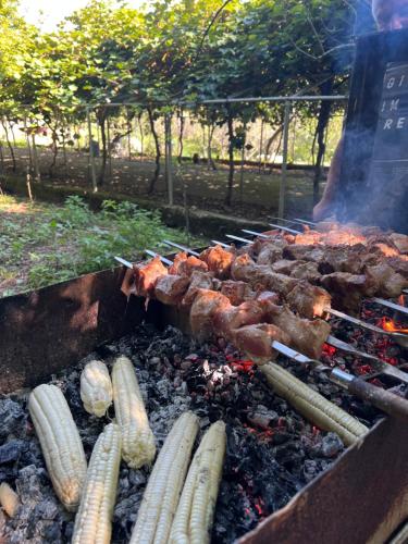 Hotel Okatsia სასტუმრო ოკაცია في Gordi: مجموعة من اللحوم والخضار على الشواية