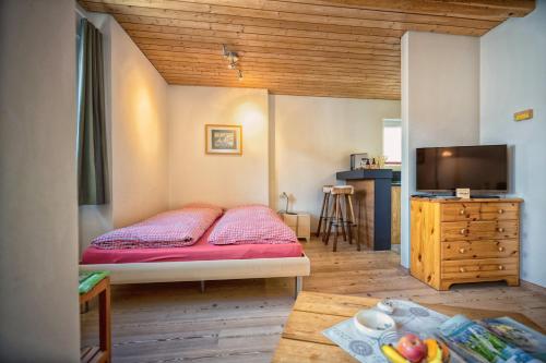 a bedroom with a bed and a flat screen tv at Chasa Gisep in Scuol