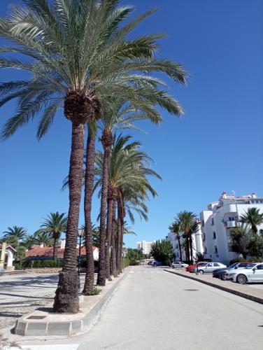 a row of palm trees on a street at Alojamiento con Piscina y chiringuito Denia in Denia