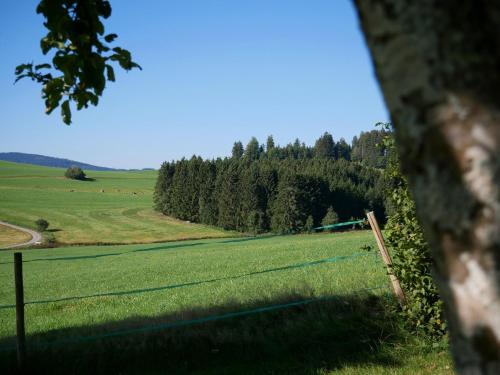 een hek in een veld met bomen op de achtergrond bij Feriengasthof Löwen in Breitnau