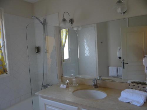 a bathroom with a sink and a shower and a mirror at Domaine Du Val De Cèze in Bagnols-sur-Cèze