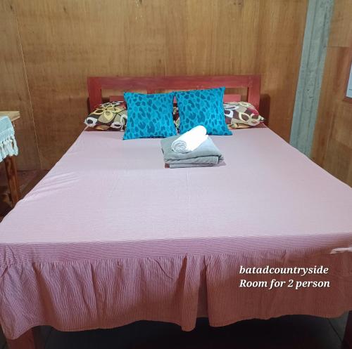 a bed with a pink bedspread and blue pillows at Batad Countryside in Banaue
