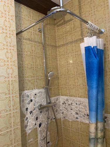 La salle de bains est pourvue d'une douche avec un rideau de douche bleu. dans l'établissement Bauernhof - Auszeit mal anders, à Seckach
