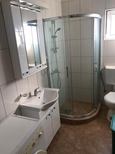 a bathroom with a shower and a sink and a toilet at Ninkovic Apartman Free Parking in Kaluđerica