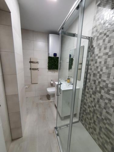 a bathroom with a shower and a sink and a toilet at Apartamento pet-friendly en Atocha by beBalmy in Madrid