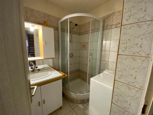une salle de bain avec douche et lavabo dans l'établissement Appartement spacieux, 9 personnes, 3 chambres, 1 mezzanine - ARA101, à Beaufort