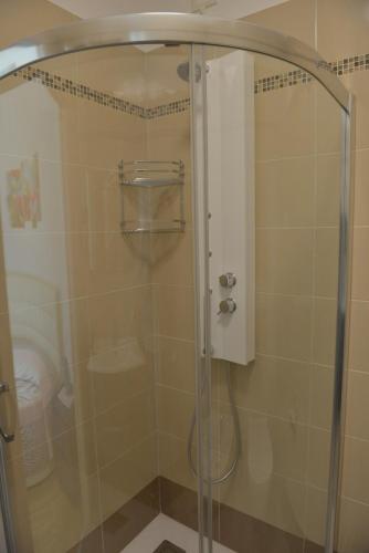 a shower with a glass door in a bathroom at Villa Artemia in Manerba del Garda
