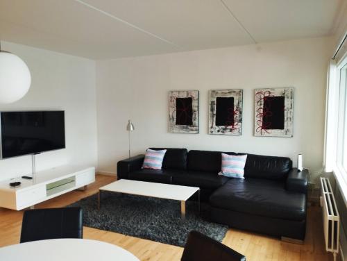 ein Wohnzimmer mit einem schwarzen Sofa und einem TV in der Unterkunft (Id 039) Rørkjærsgade 12 dor 209 in Esbjerg