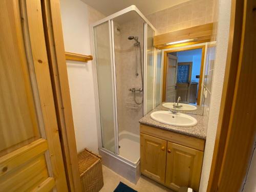 a bathroom with a shower and a sink at Appartement pied des pistes, 4 personnes, 1 chambre - MONT02 in Beaufort
