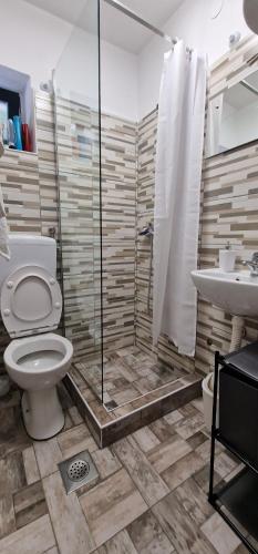 y baño con ducha, aseo y lavamanos. en Dinara View Apartment-Knin en Knin