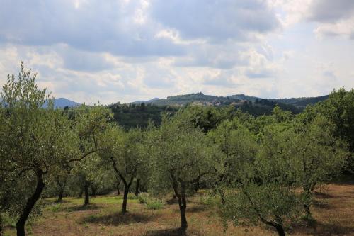 Φυσικό τοπίο κοντά σε αυτή η παραθεριστική κατοικία