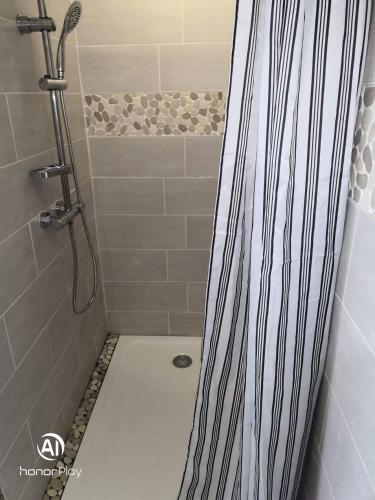 La salle de bains est pourvue d'une douche et de toilettes. dans l'établissement L'Hématite, aux Épesses