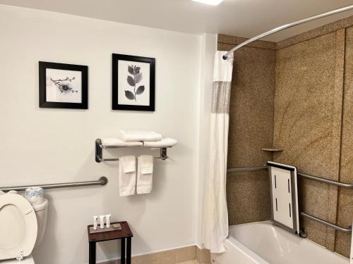 uma casa de banho com uma banheira, um WC e um chuveiro em Country Inn & Suites by Radisson, Harrisburg - Hershey West, PA em Harrisburg