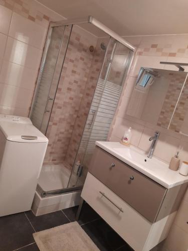 La salle de bains est pourvue d'une douche, d'un lavabo et de toilettes. dans l'établissement Appartement proche d'Orly, à Villeneuve-le-Roi