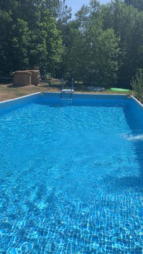 a large swimming pool with blue water at DZIK Łupawsko in Łupawsko