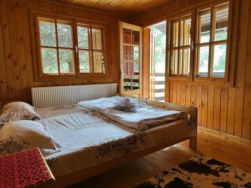 Posto letto in camera con pareti e finestre in legno. di Rustic House a Bran