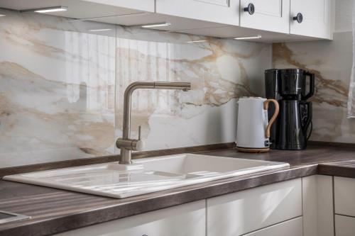 a kitchen counter with a sink and a mixer at Ferienhaus Lübeck Buntekuh in Lübeck