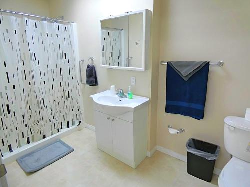 a bathroom with a shower and a sink and a toilet at The Medicine Hat Villa in Medicine Hat