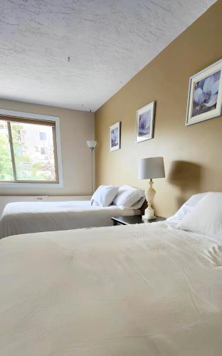 a bedroom with two beds and a window at The Medicine Hat Villa in Medicine Hat