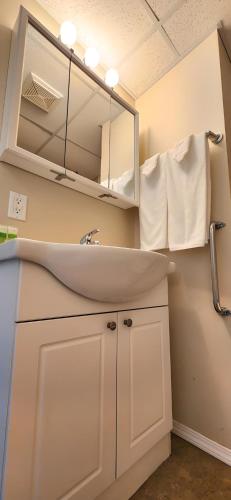 a bathroom with a sink and a mirror at The Medicine Hat Villa in Medicine Hat