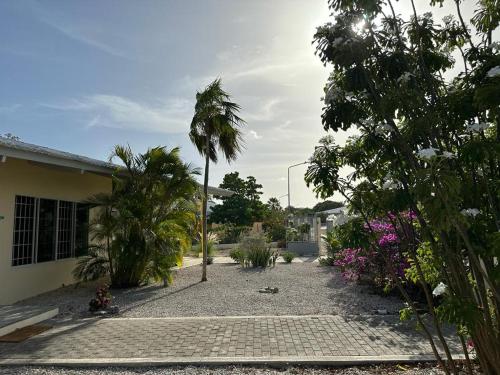 a courtyard with a palm tree and a house at The Julianadorp Villas in Willemstad