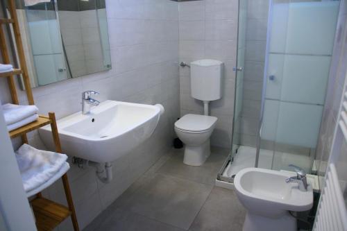 a bathroom with a sink and a toilet and a shower at Agriturismo Oasi Bettella in Limena