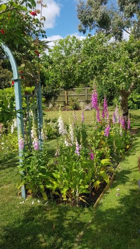 a garden with purple and white flowers in a yard at Bracken Lodge in Merston