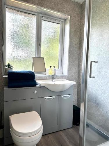 a bathroom with a sink and a toilet and a window at Townhouse in Derby in Derby