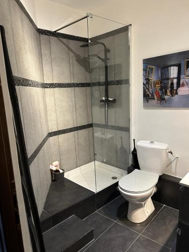 La salle de bains est pourvue d'une douche et de toilettes. dans l'établissement Chambre privée dans un MAS au centre du Village, à Maubec