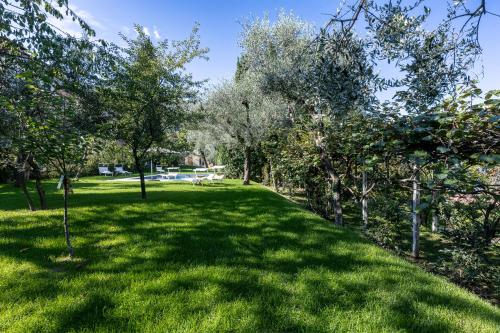 a grassy area with trees in a park at Villa Lilla Bellagio - Luxury Pool and Wine with Lake view in Bellagio