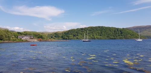 a large body of water with boats in it at Melfort Pier & Harbour Resort in Kilmelfort