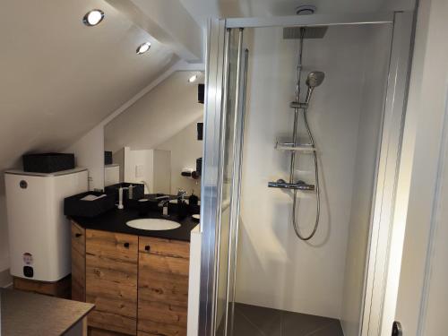 ein Bad mit einer Dusche und einem Waschbecken in der Unterkunft Au Ch'ti Suisse 