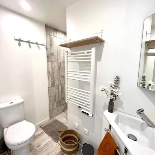 une salle de bain blanche avec des toilettes et un lavabo dans l'établissement chambre d'hôtes à Carcassonne proche cité médiévale, à Carcassonne