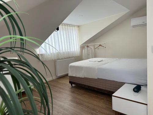 ein weißes Schlafzimmer mit einem Bett und einer Pflanze in der Unterkunft 3+2 Dubleks House in Istanbul