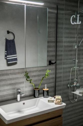 City Loft 1 (Stamatina's Luxury Apartments)