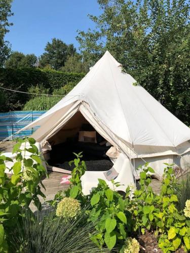 Gallery image of Vakantievilla met zwembad, wellness en glamping in Paal/Beringen in Beringen
