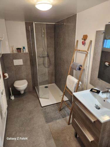 a bathroom with a shower and a toilet and a sink at Figuets 3 in Châteauneuf-de-Galaure