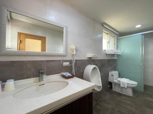 白沙鄉的住宿－九重葛海景民宿，一间带水槽、镜子和卫生间的浴室